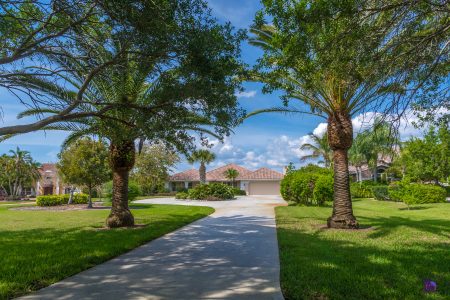 Mediterranean Style Home on Acreage with palm trees in Pasco County, FL