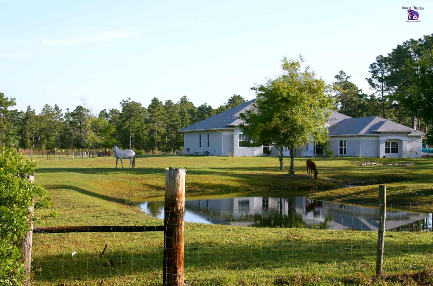 home on farm with two horses and fence similar to a house in plant city florida