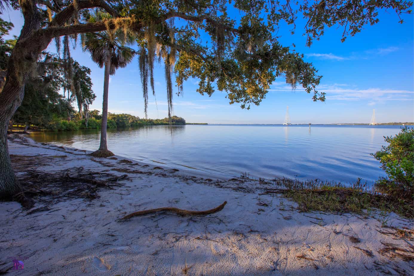 Picture of Mobbly Beach Park located in Oldsmar Florida with beach, trees, and water