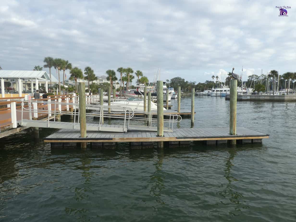 boats in water in dunedin florida with dock and palm trees