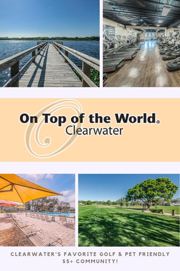 on-top-of-the-world-clearwater-buy-in-the-bay-realty-group-llc