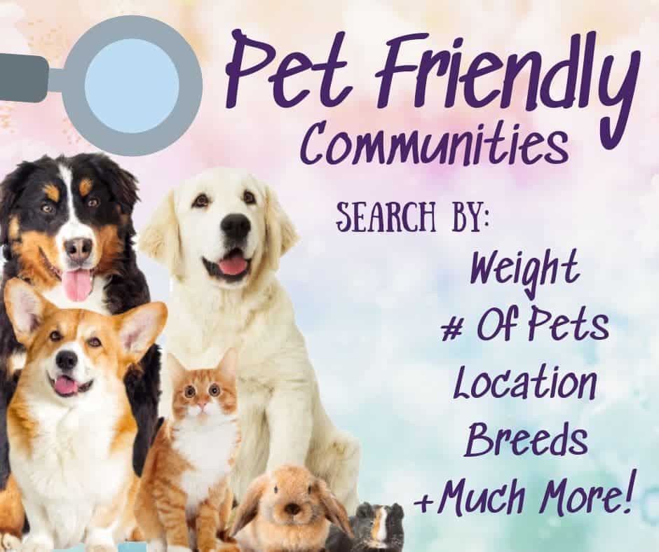 Image of animals showing pet friendly condos for sale in florida where you can search for weight, # of pets, Location, Breeds, and more!