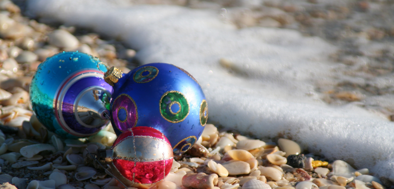 Christmas style ornaments on shells at a beach